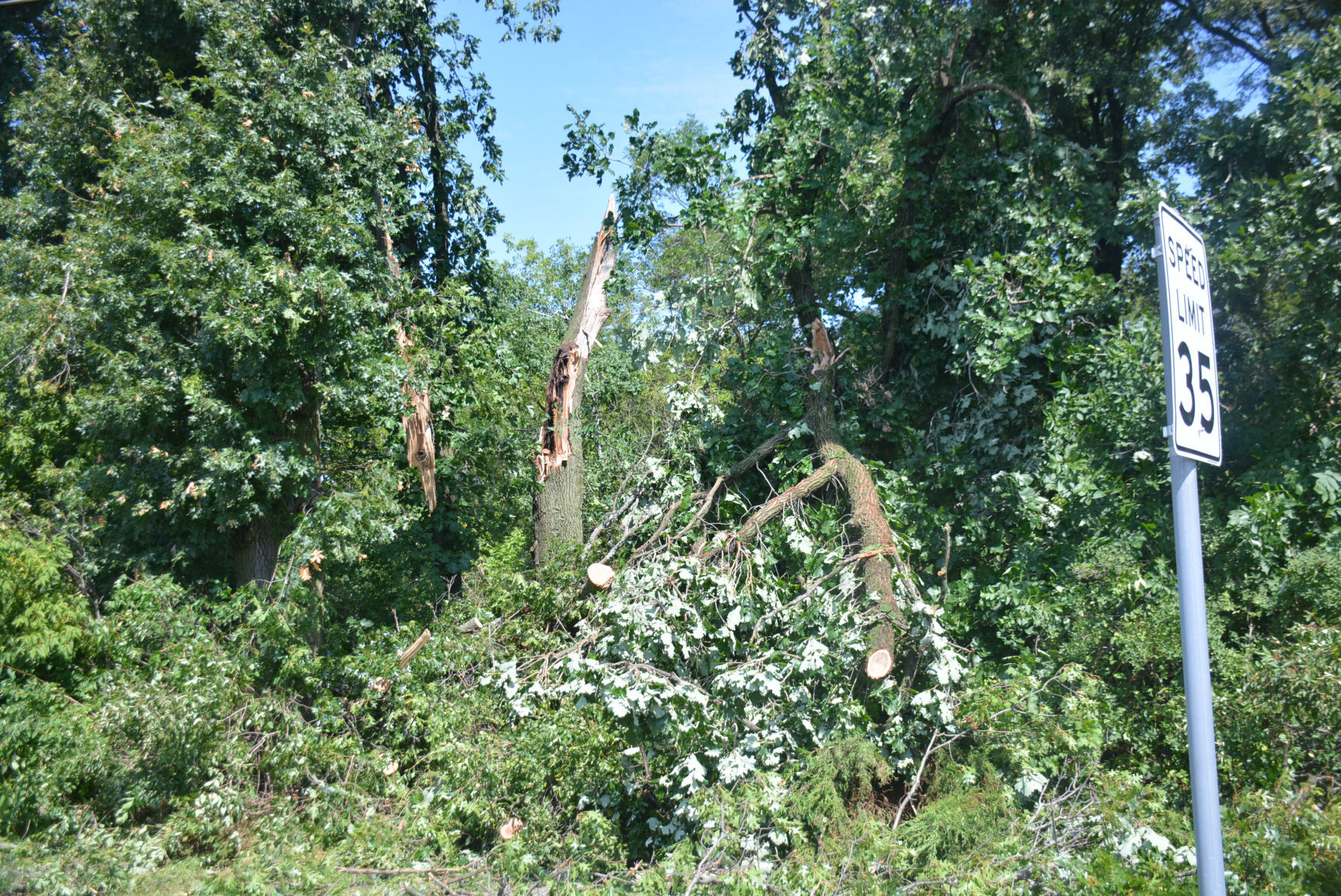 DSC_1394.jpg